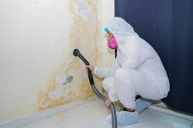 Best Residential Mold Inspection & Testing in Tiffin, IA